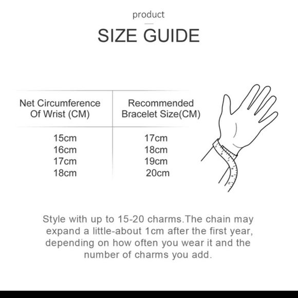 Sterling Silver link bracelet for Me style clip on charms. Pretty and trendy! - Picture 2 of 5